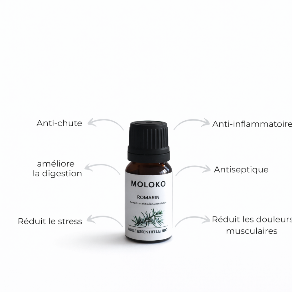 ChatGPT Image 5 janv. 2026, 02_23_31