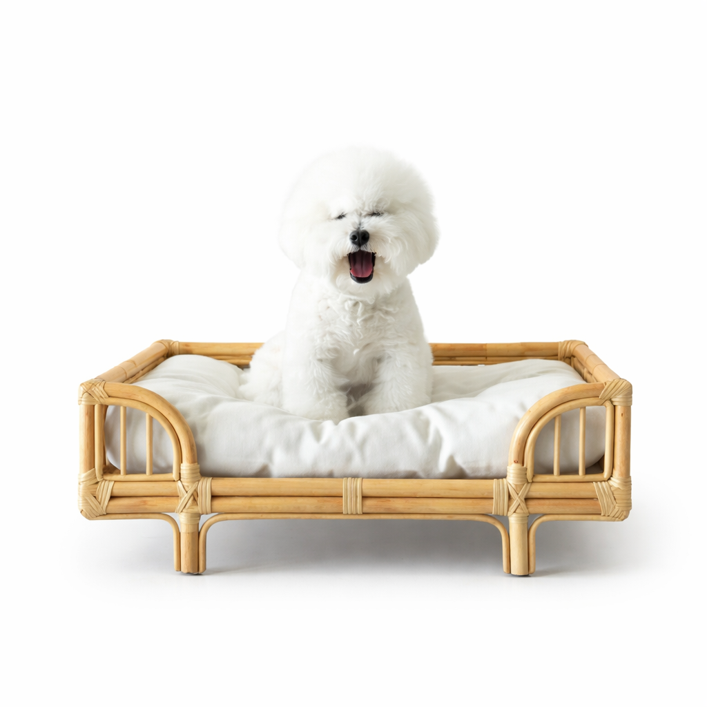 ChatGPT Image 5 janv. 2026, 19_41_38